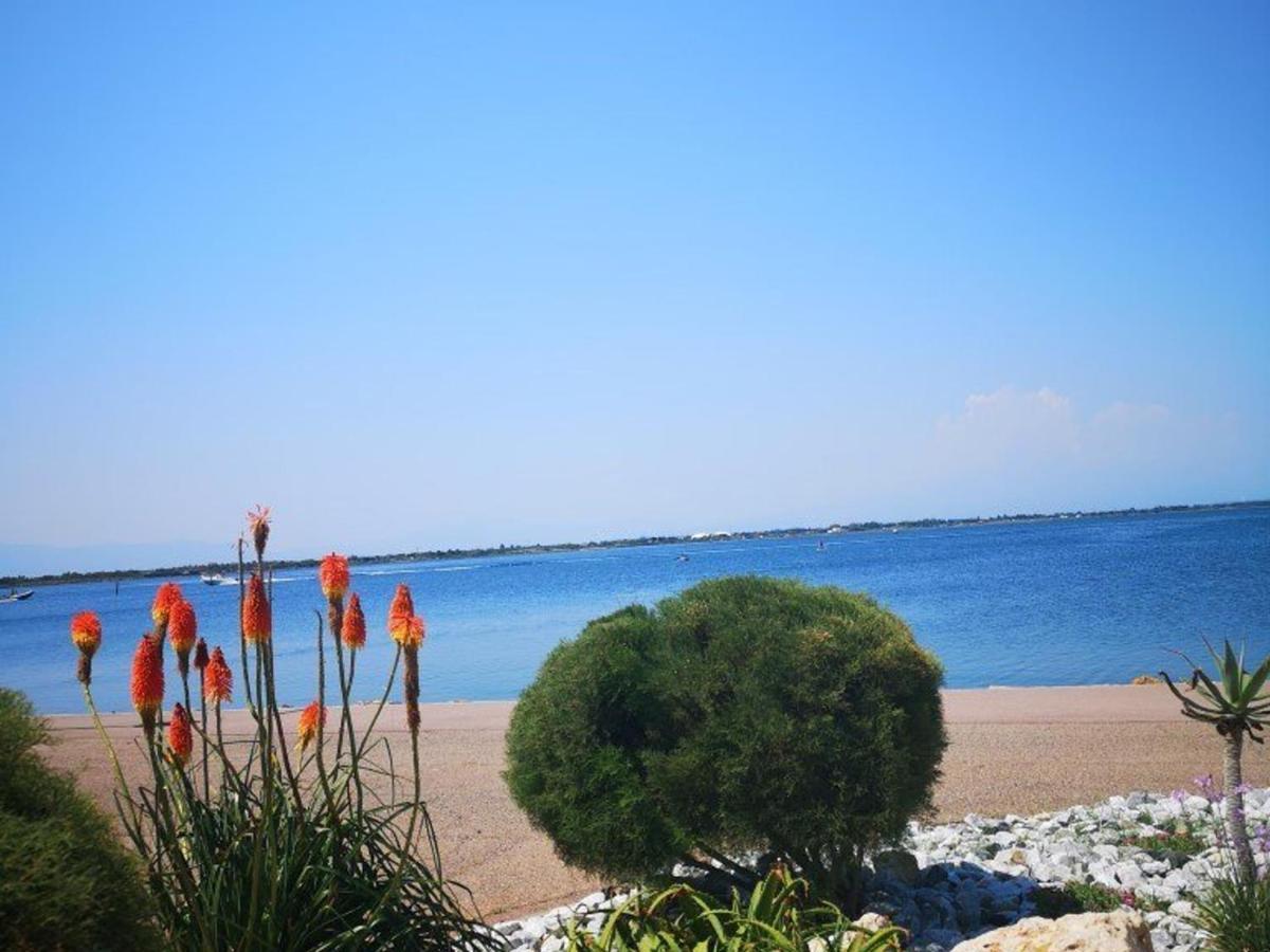 Apartament T2 4 Pers Le Barcares Rdc Piscine Parking Animaux - Fr-1-195-68 Zewnętrze zdjęcie